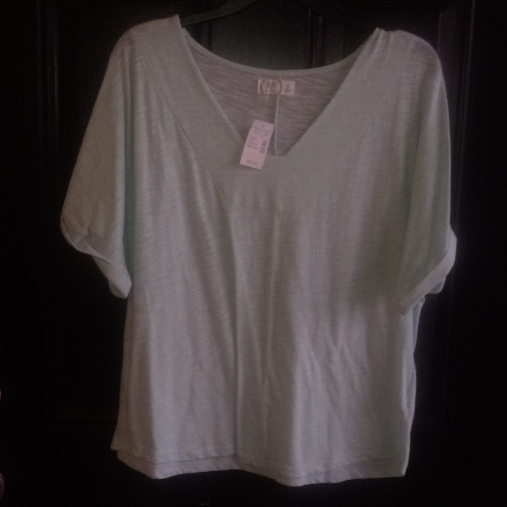 Sky blue short sleeve shirt with a v-neck collar